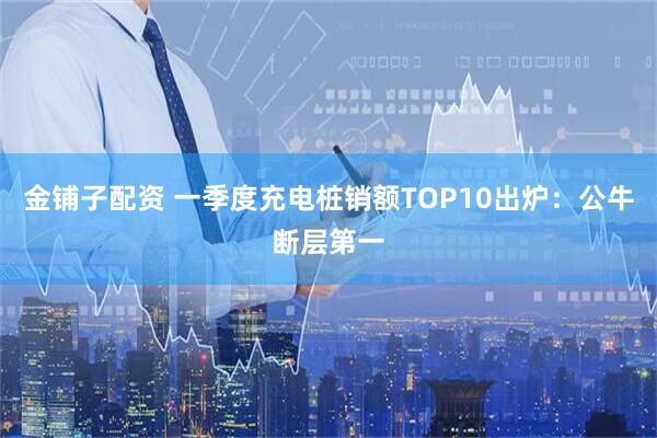 金铺子配资 一季度充电桩销额TOP10出炉：公牛断层第一