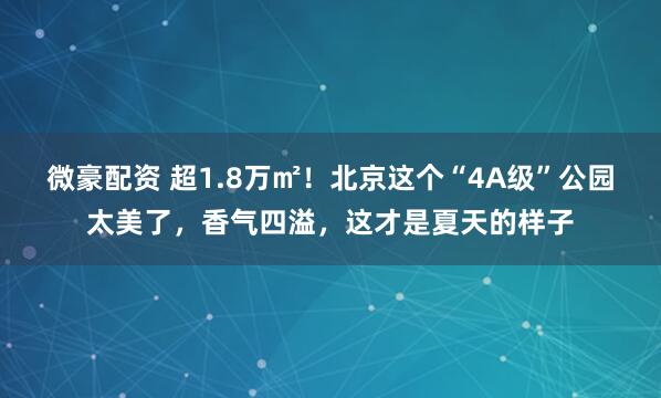 微豪配资 超1.8万㎡！北京这个“4A级”公园太美了，香气四溢，这才是夏天的样子